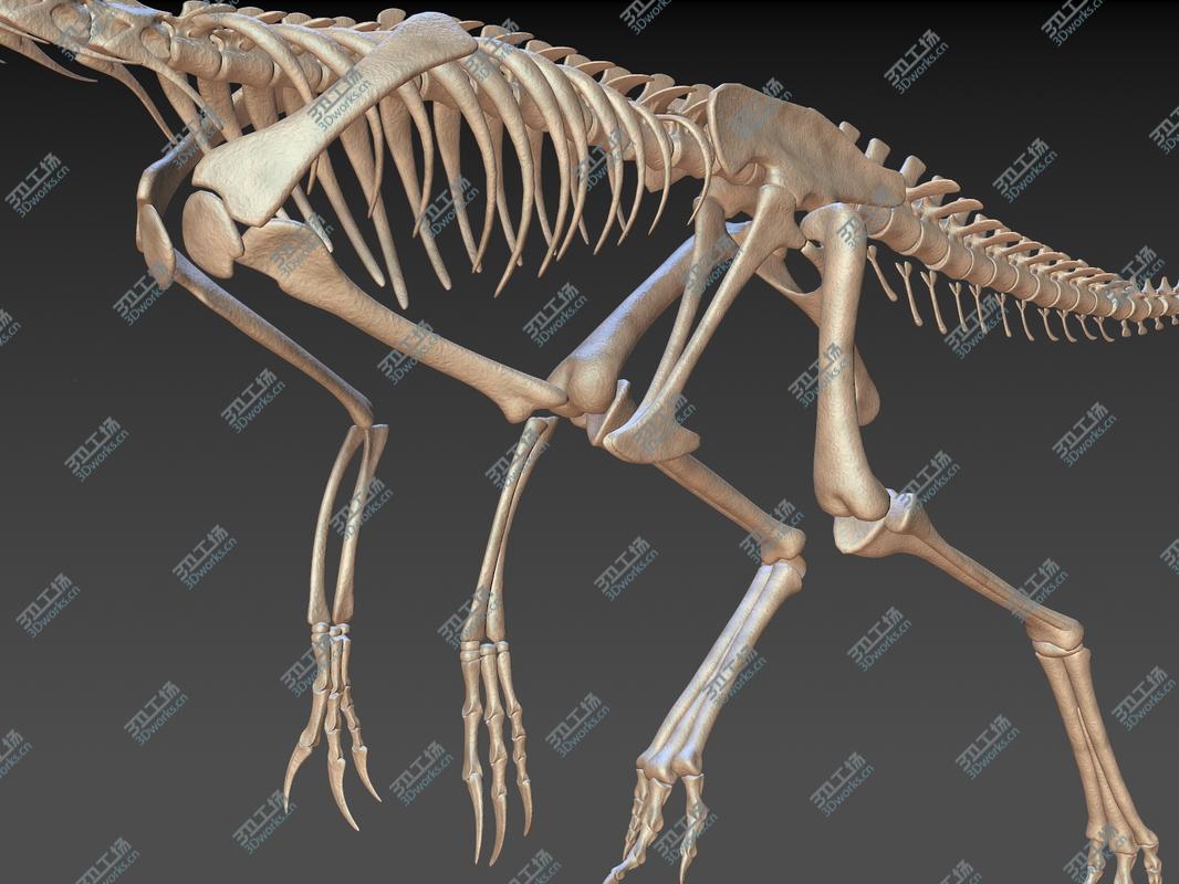 images/goods_img/20210113/20 in1 Dino skeleton Collection model/5.jpg